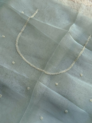 SS010
