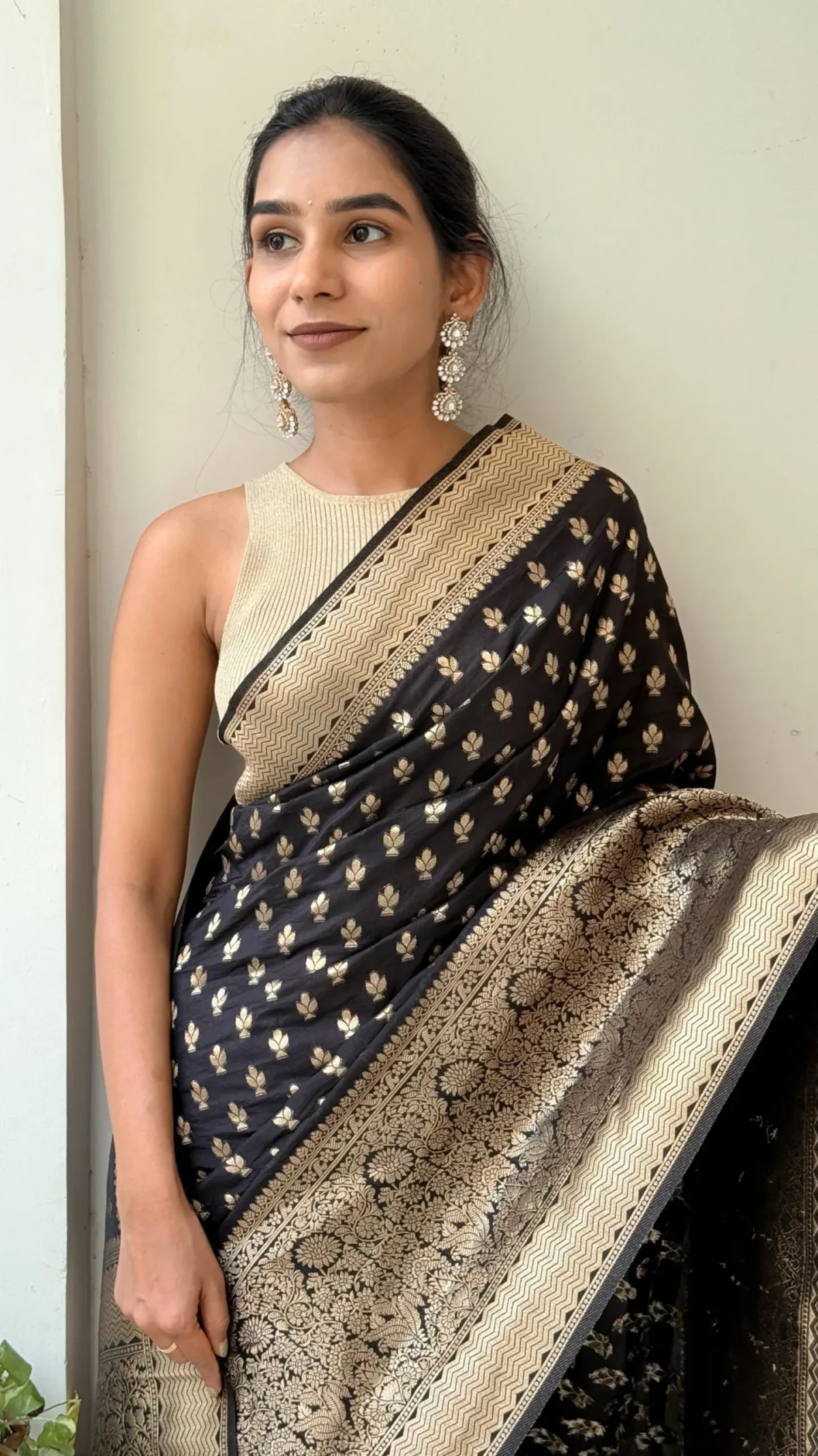 Benarasi Saree