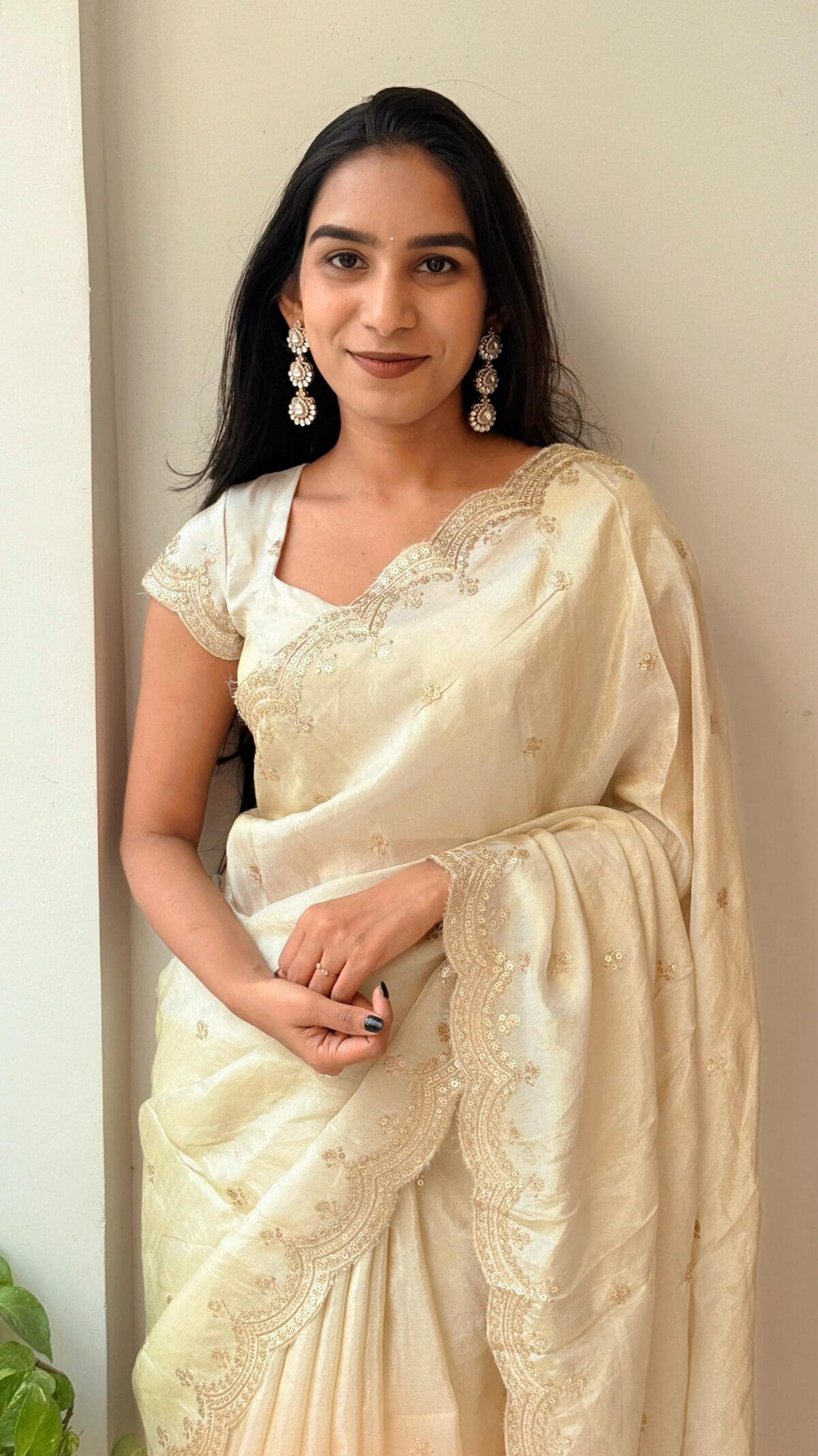 Tissue silk with embroidery work