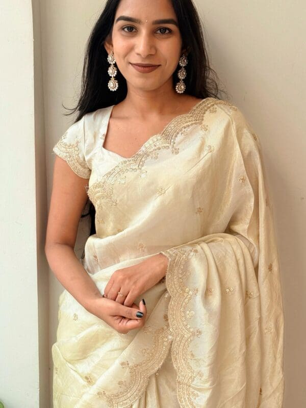 Tissue silk with embroidery work